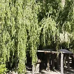 Turismo Rurale Leanza Country house Cesaro